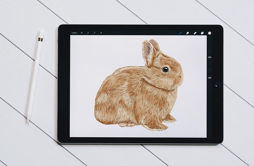 Osterhase malen Zeichne einen realistischen Hasen in wenigen Schritten