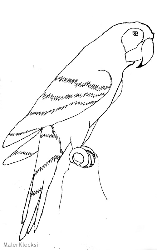 Ausmalbild für Kinder Papagei MalerKlecksi