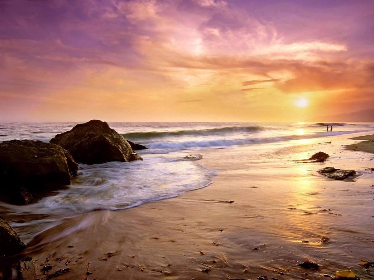 Malibu Computer Service