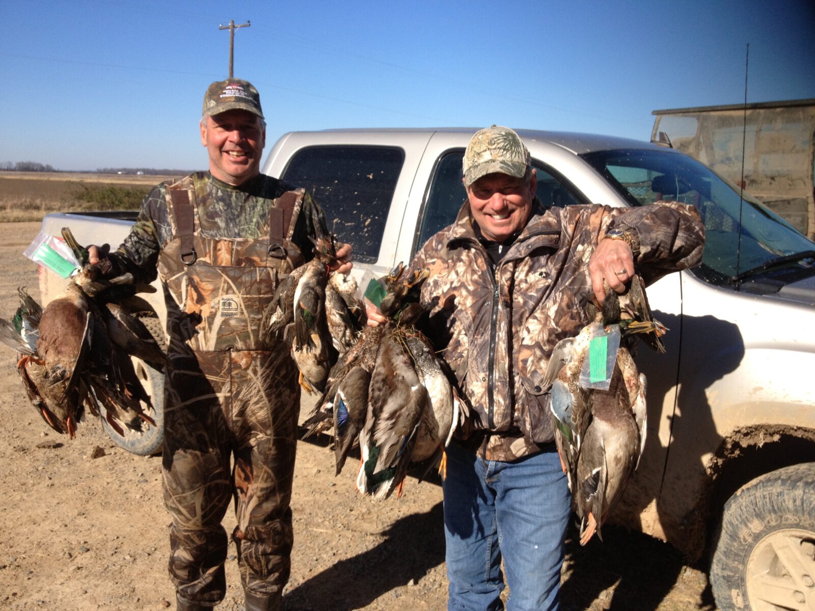 260 Arkansas Duck Hunting