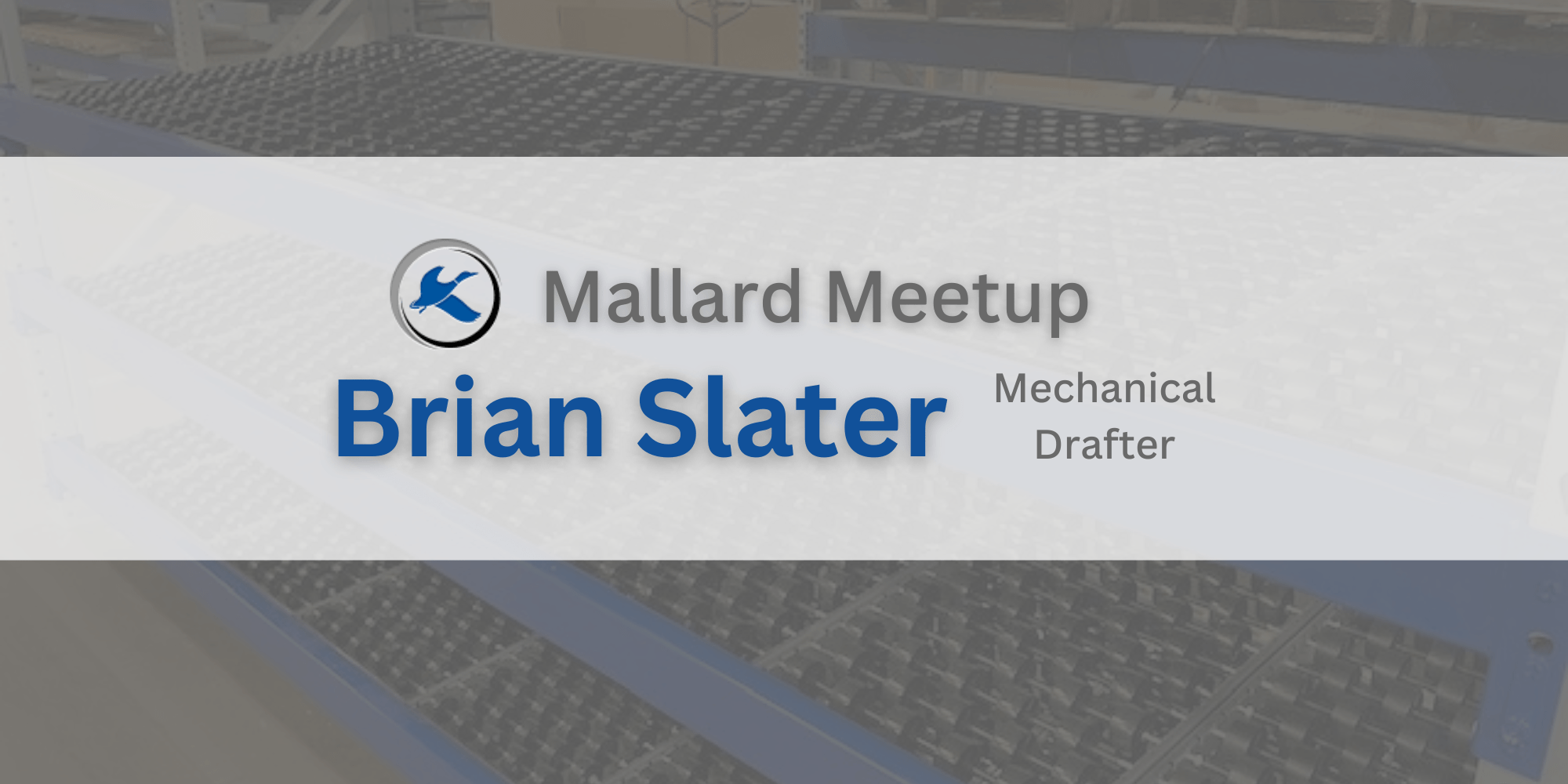 Mallard MeetUp Series Meet Our Exceptional Team!