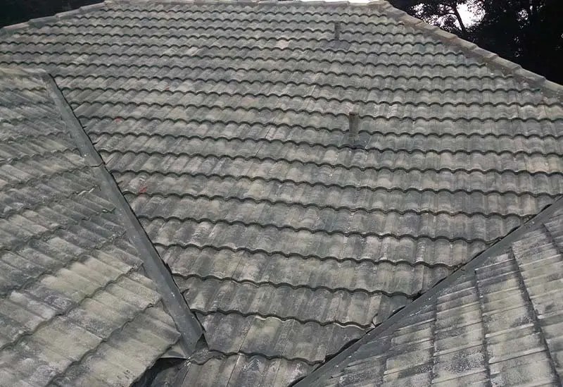 Tile Roof Painting & Sealing Orlando