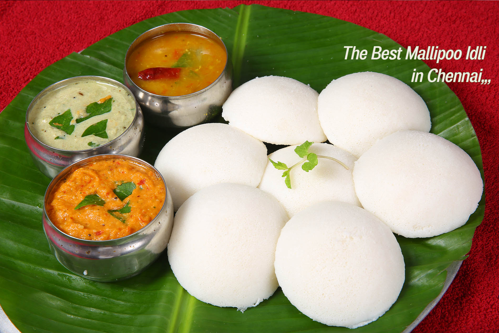 GG Mallipoo Idli The Best Idli Supplier in Chennai