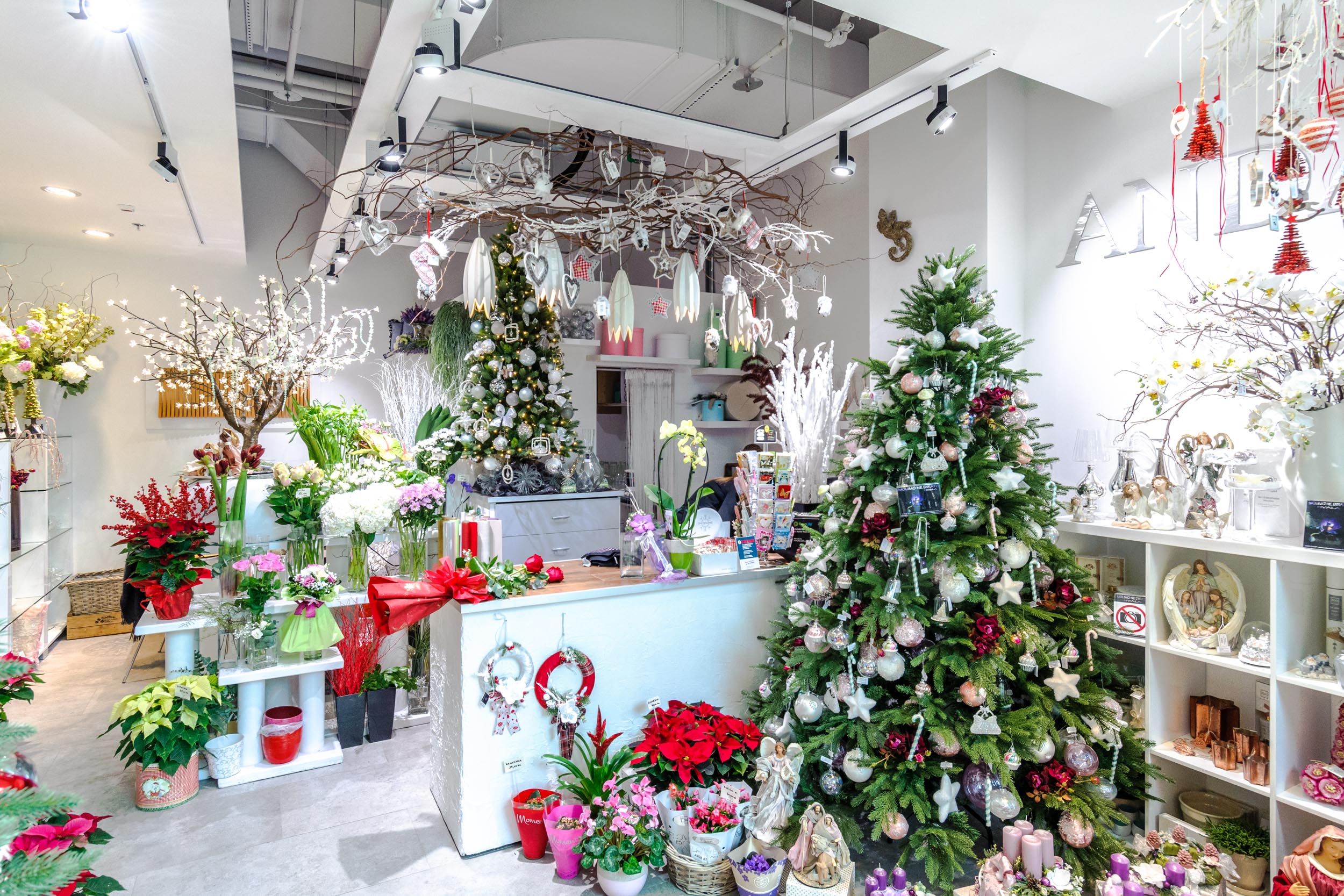 Anda Flower Design Mall of Split