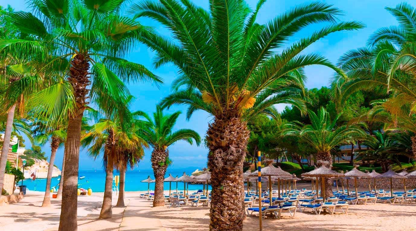 Cala Vinyes 〗 Calas and beaches Mallorqueando
