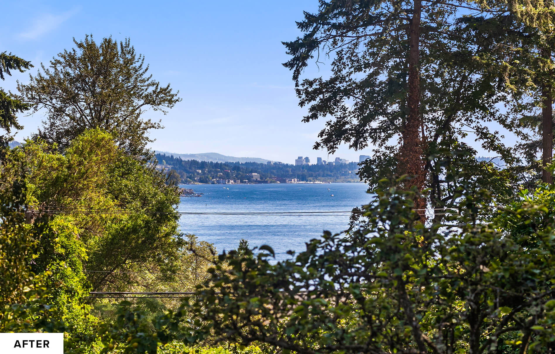 10 Predictions for the 2021 Housing Market by Windermere’s Chief