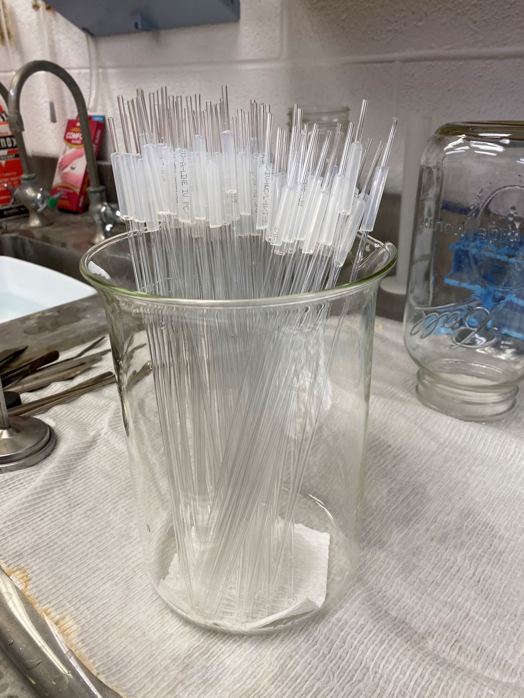 Sticky Roots The Malmstrom Lab