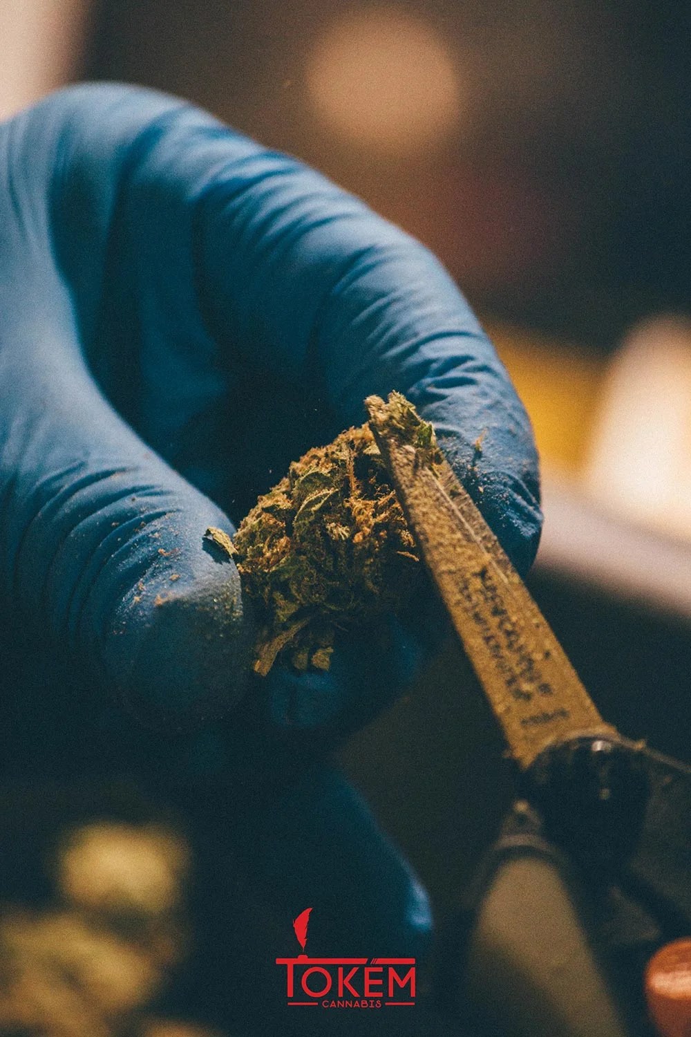 Tokem Cannabis Branding by Malolo Suquamish, WA