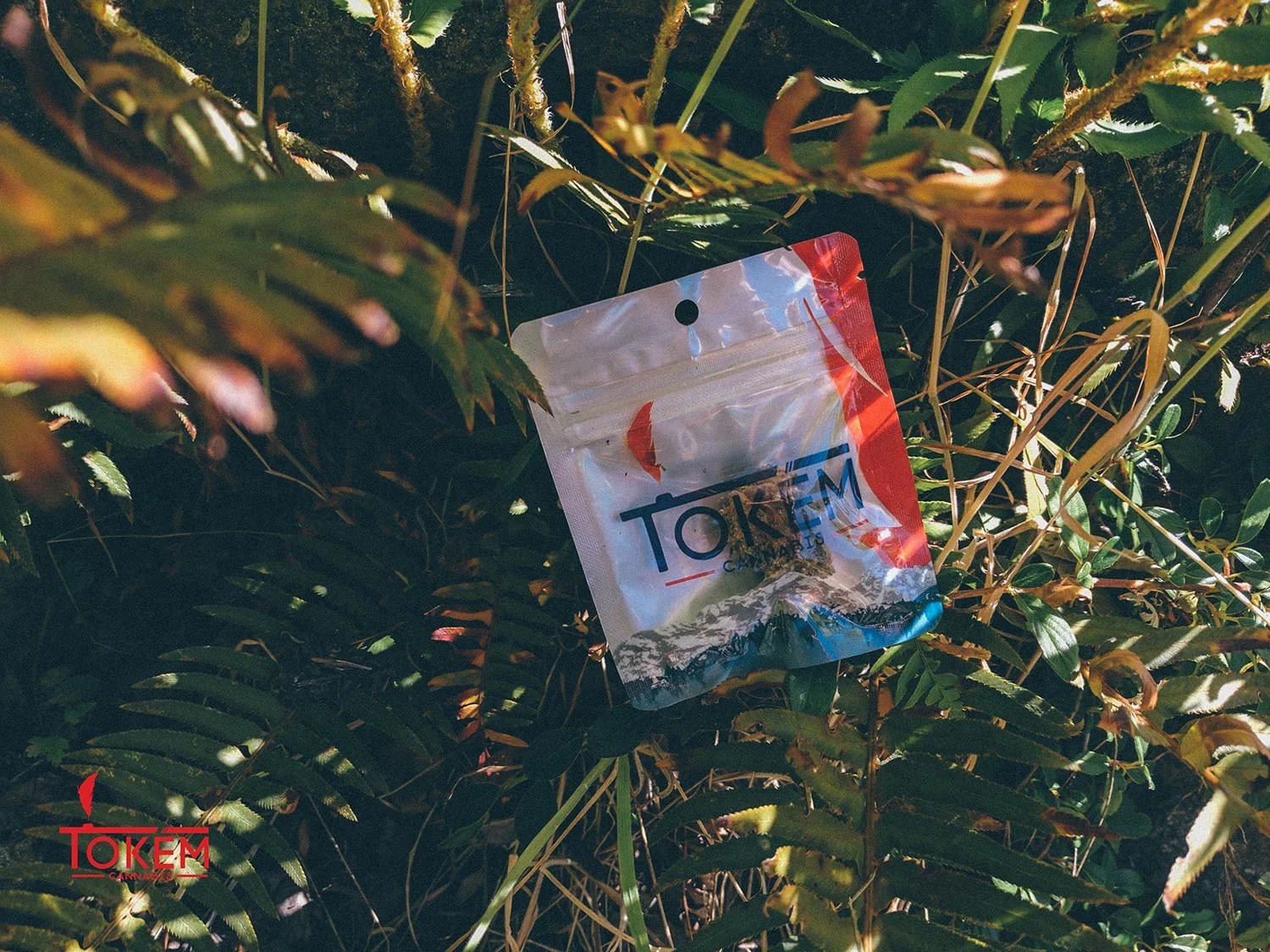 Tokem Cannabis Branding by Malolo Suquamish, WA