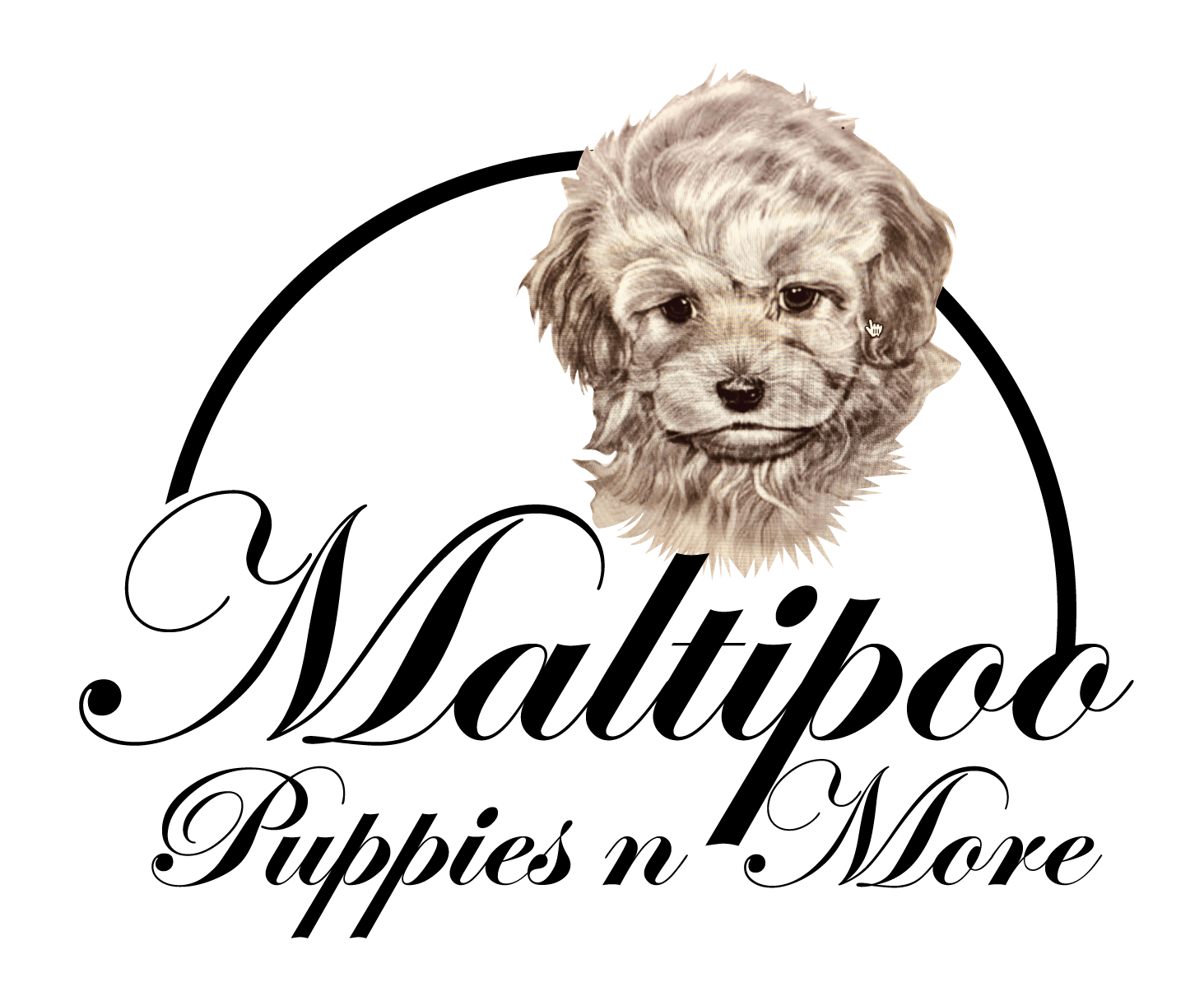 Puppies N Love Family Owned Business Puppies N Love Closes Its Doors