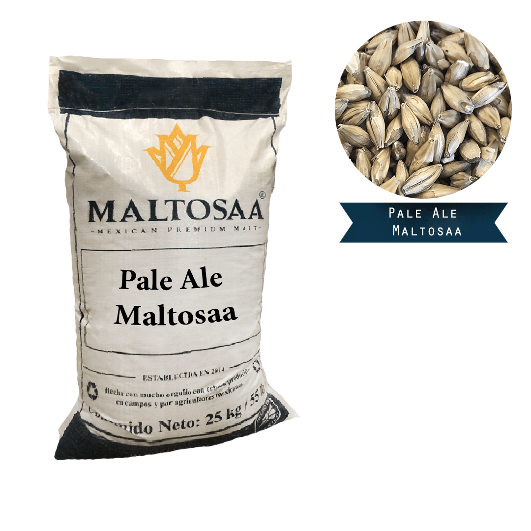 Malta Pale Ale Maltosaa Maltas especiales mexicanas