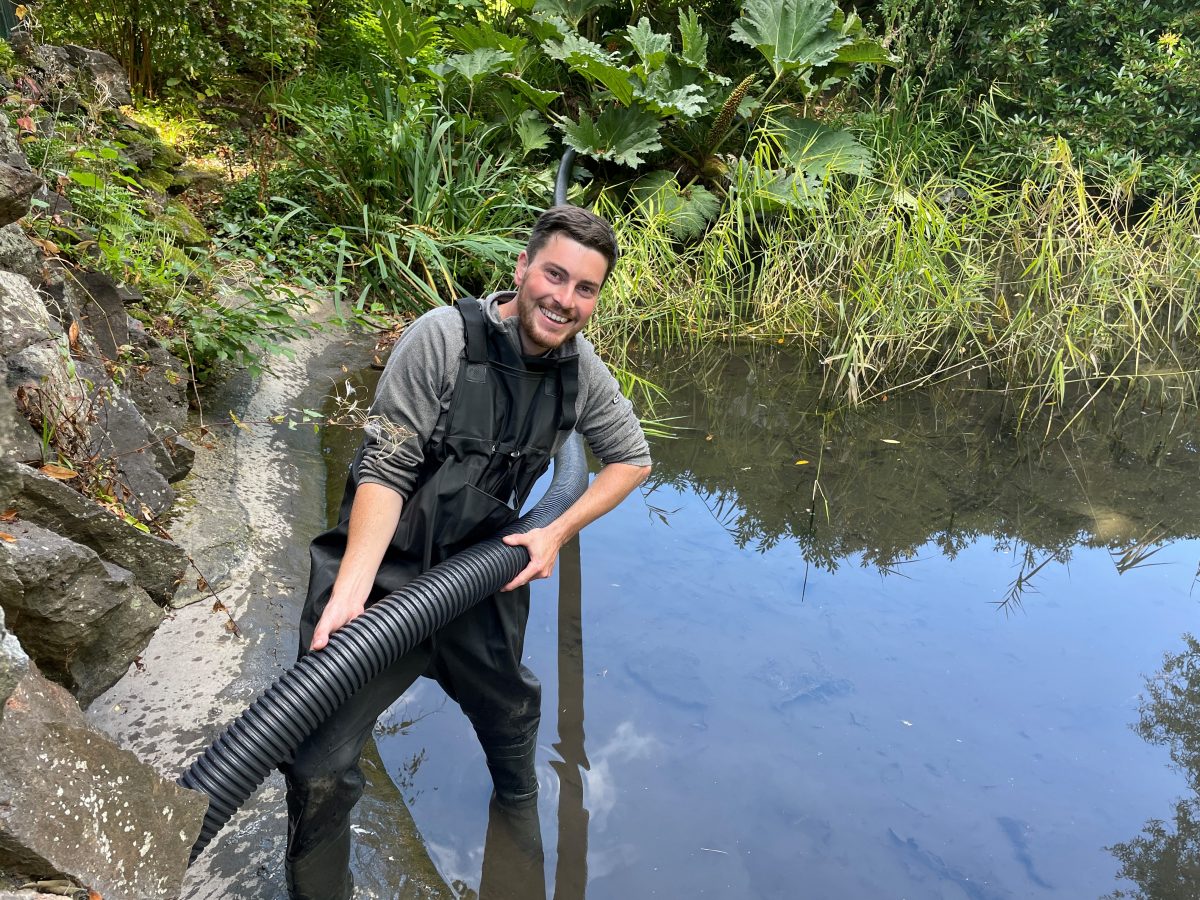 Draining of the upper pond in Malvern's Priory Park starts so repair