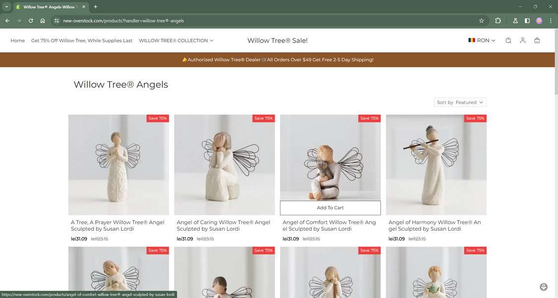 Scam Stay Away From This Fake Store