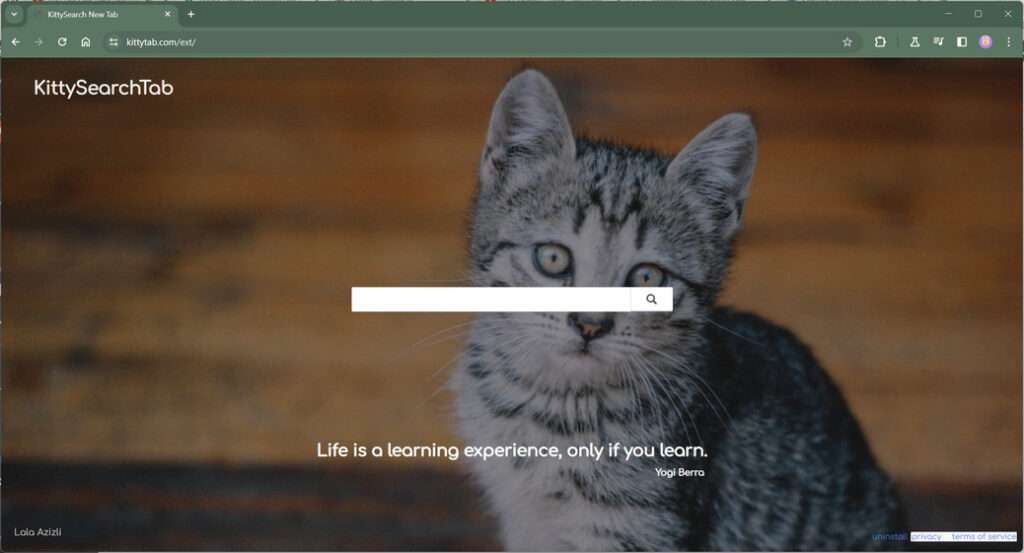 Remove KittyTab Browser Hijacker [Virus Removal Guide]