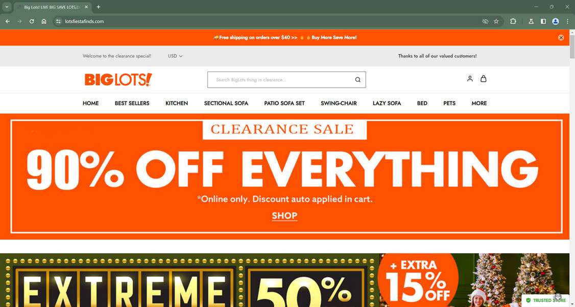 Scam Store A Fake Big Lots site