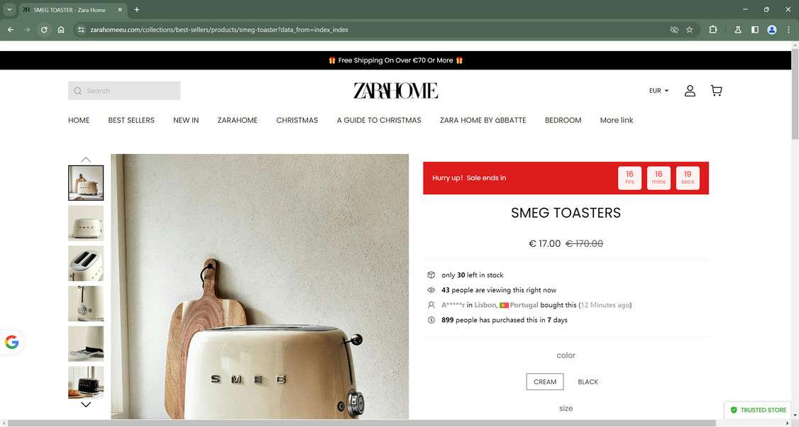Scam Store A Fake Zara Home site