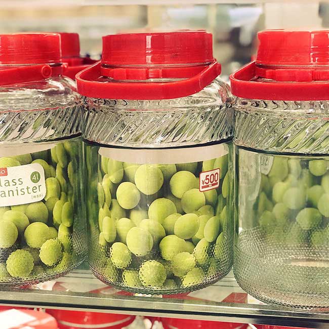 【2020年版】梅仕事スタート♪ダイソーの保存瓶は250円～ ママズハッカー[mama's hacker]