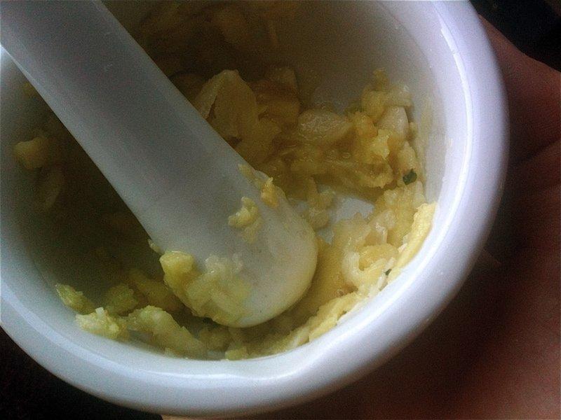 How to DIY This Special and Effective Garlic Natural Flea Killer