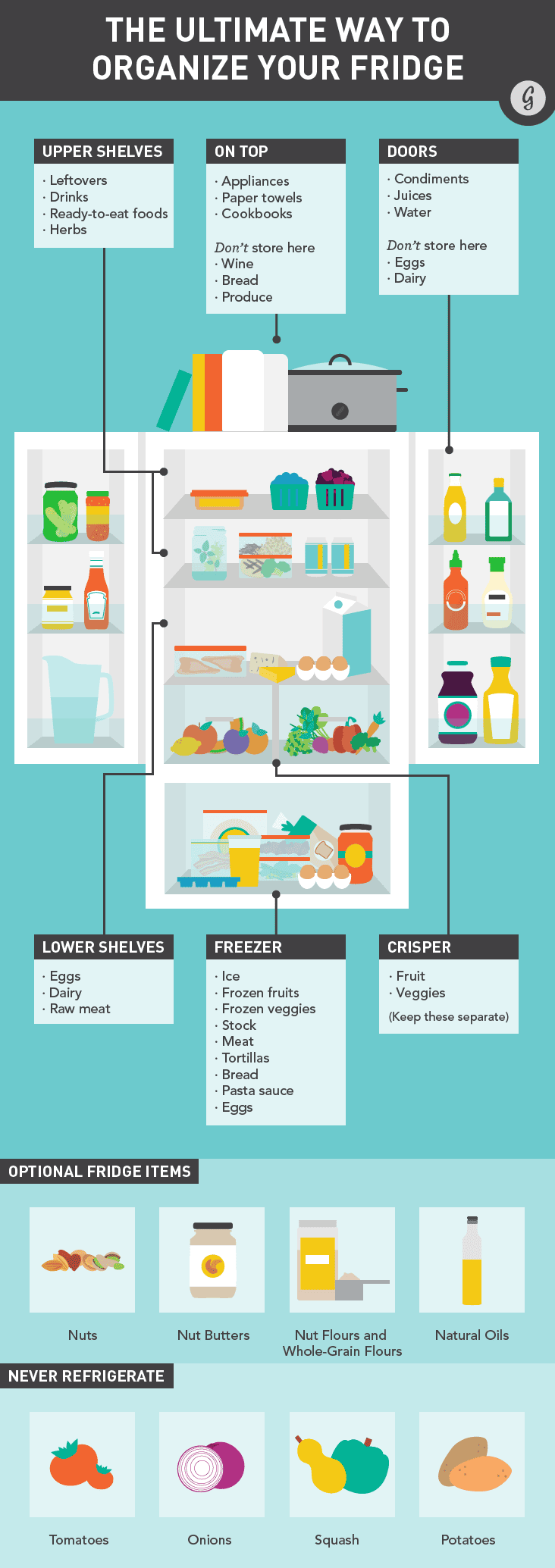 Infographic How to Perfectly Organize Your Fridge to Cut The Energy Bills