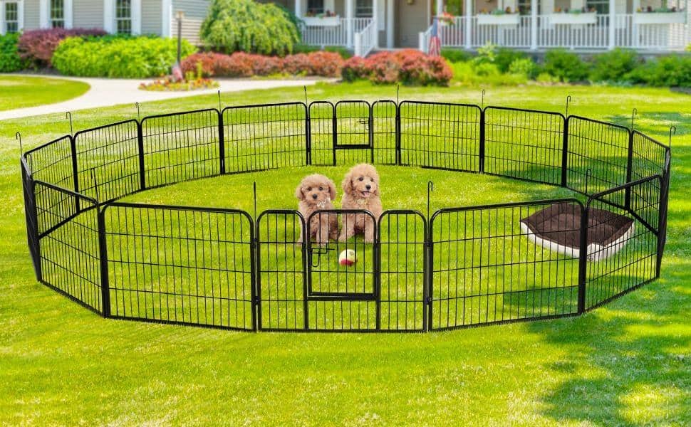 3 Hidden Benefits of Dog Pens