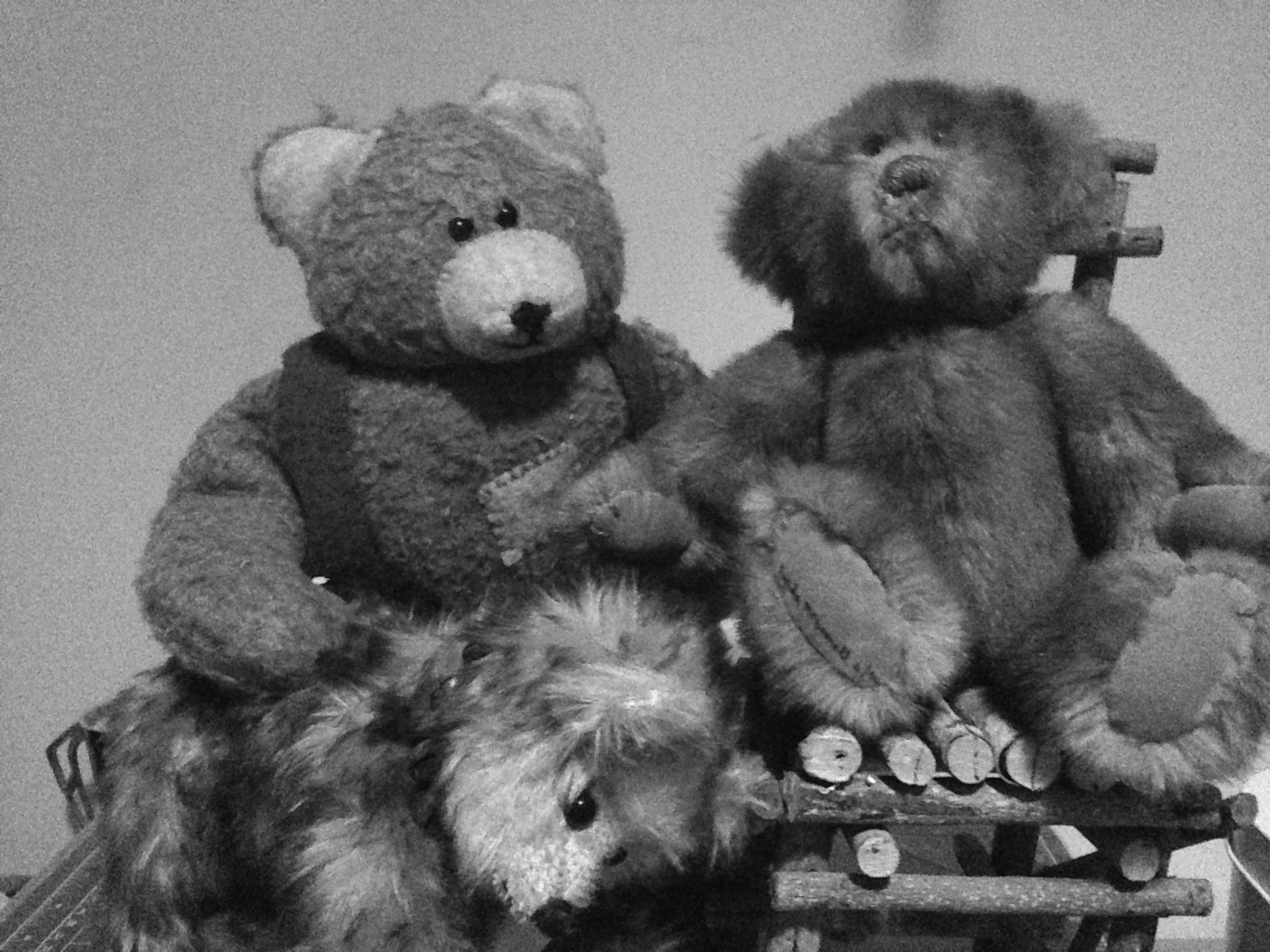 Cee’s Black and White Challenge Toys Mama Cormier