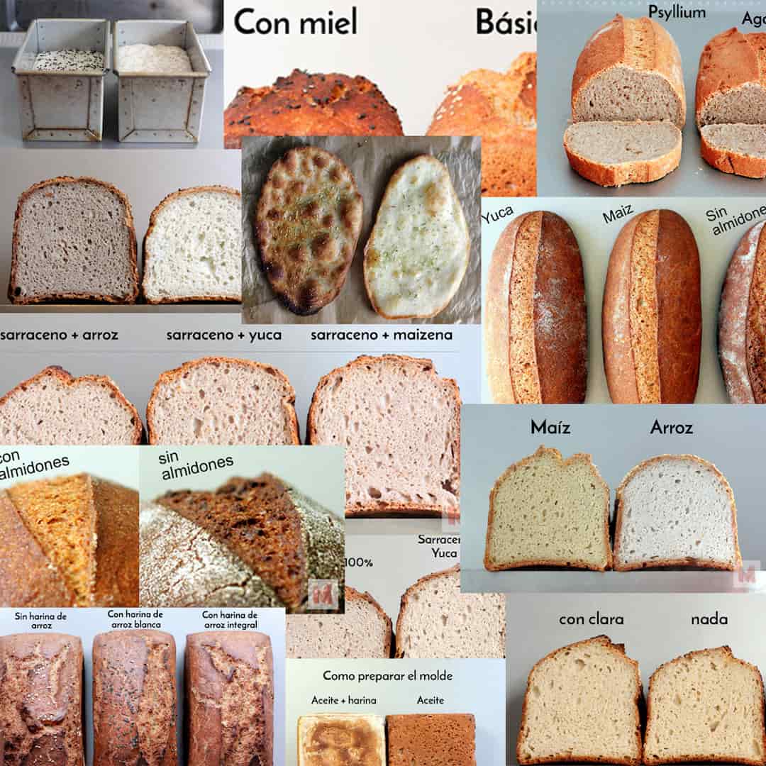 Qué he aprendido del pan sin gluten después de 60 tests mamafermenta