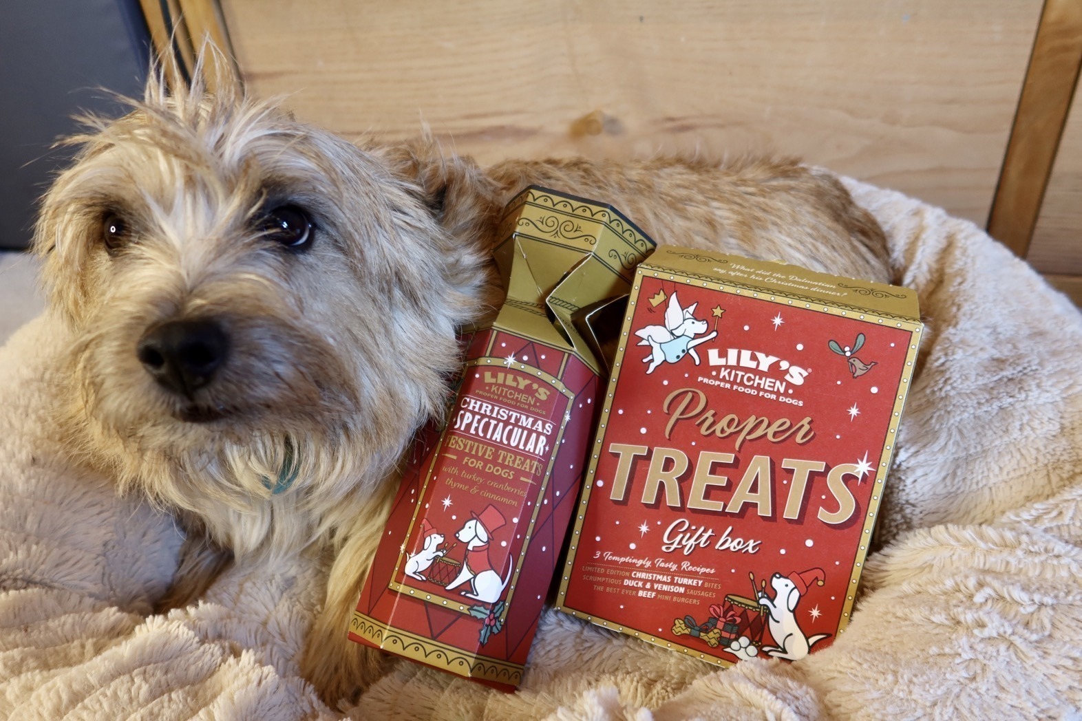 Review Lily’s Kitchen Christmas Pet Food Range Mama Geek