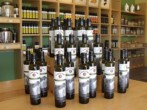 Lucero Olive Oil Tour and Tasting Corning, California
