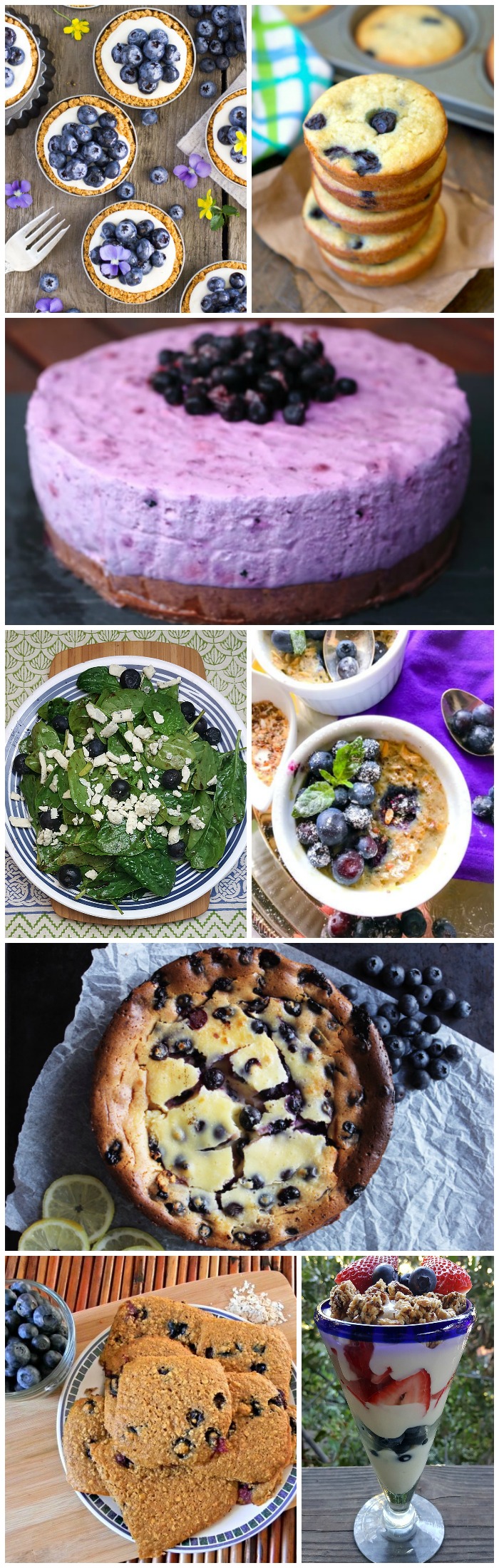 20 Recipes Using Fresh Blueberries Mama Likes To Cook