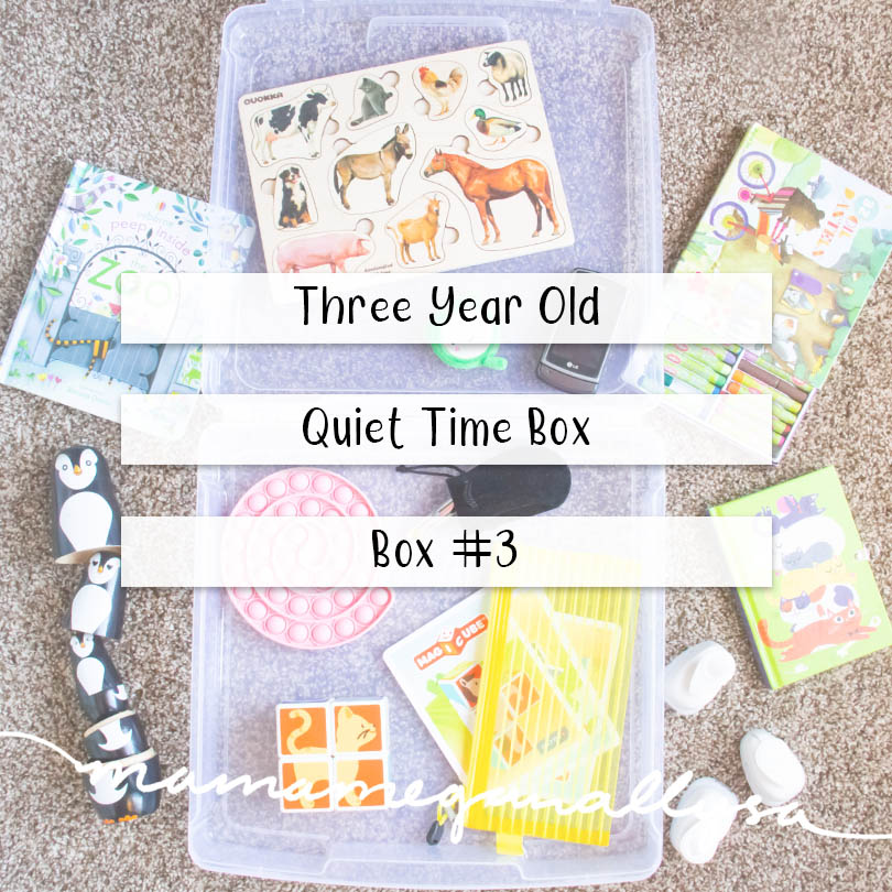 The Magic of Quiet Time Bins for 3 Year Olds MamaMeganAllysa
