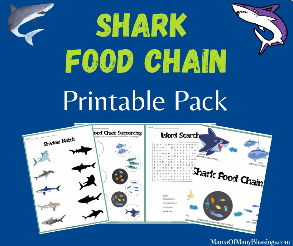Shark Food Chain Printables