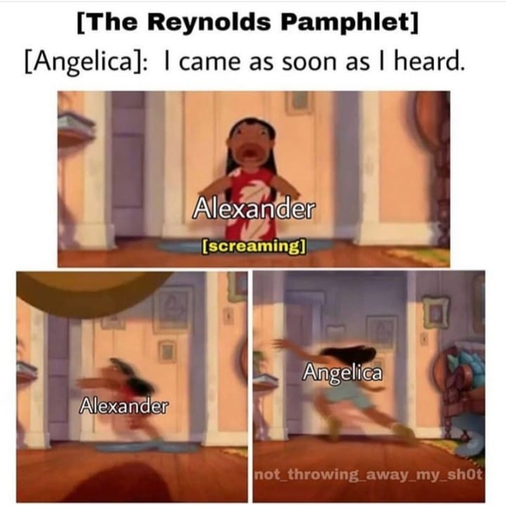 A Collection Of The Best Hamilton Memes