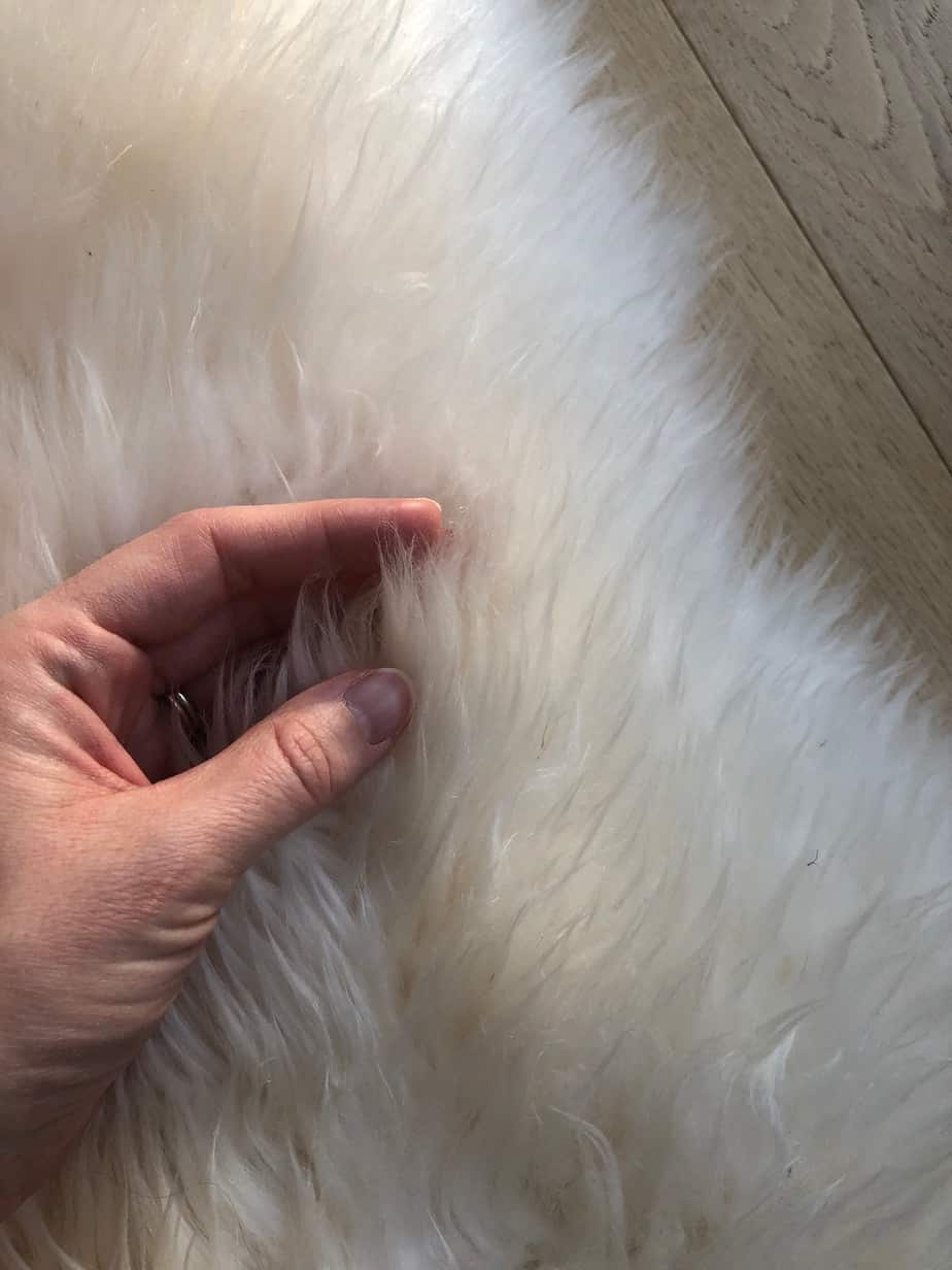How to clean a sheepskin rug 🧼 Make it look brand new!