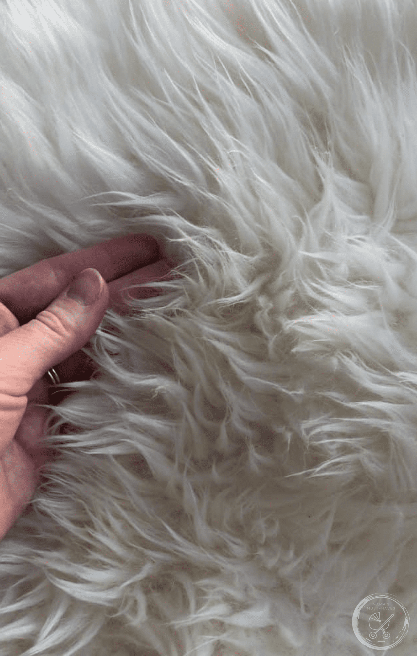 How to clean a sheepskin rug 🧼 Make it look brand new!