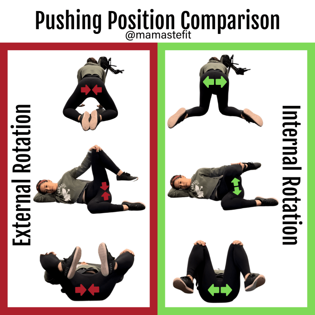 The Pelvic Outlet Anatomy & Movement Support MamasteFit