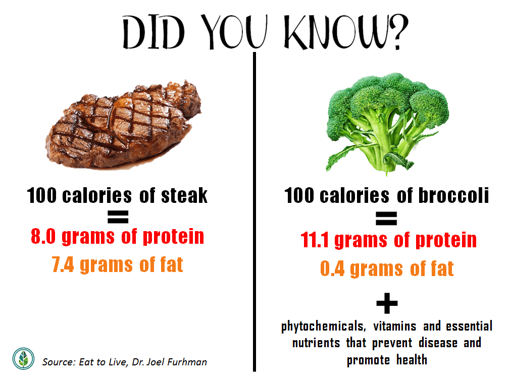 Animal vs. Plant Protein How Do They Stack Up? Mamásu