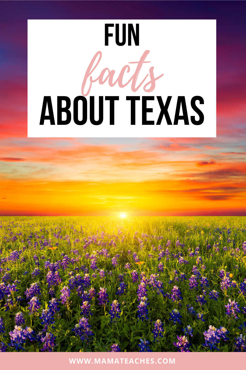 Fun Facts About Texas State Facts for Kids Mama Teaches
