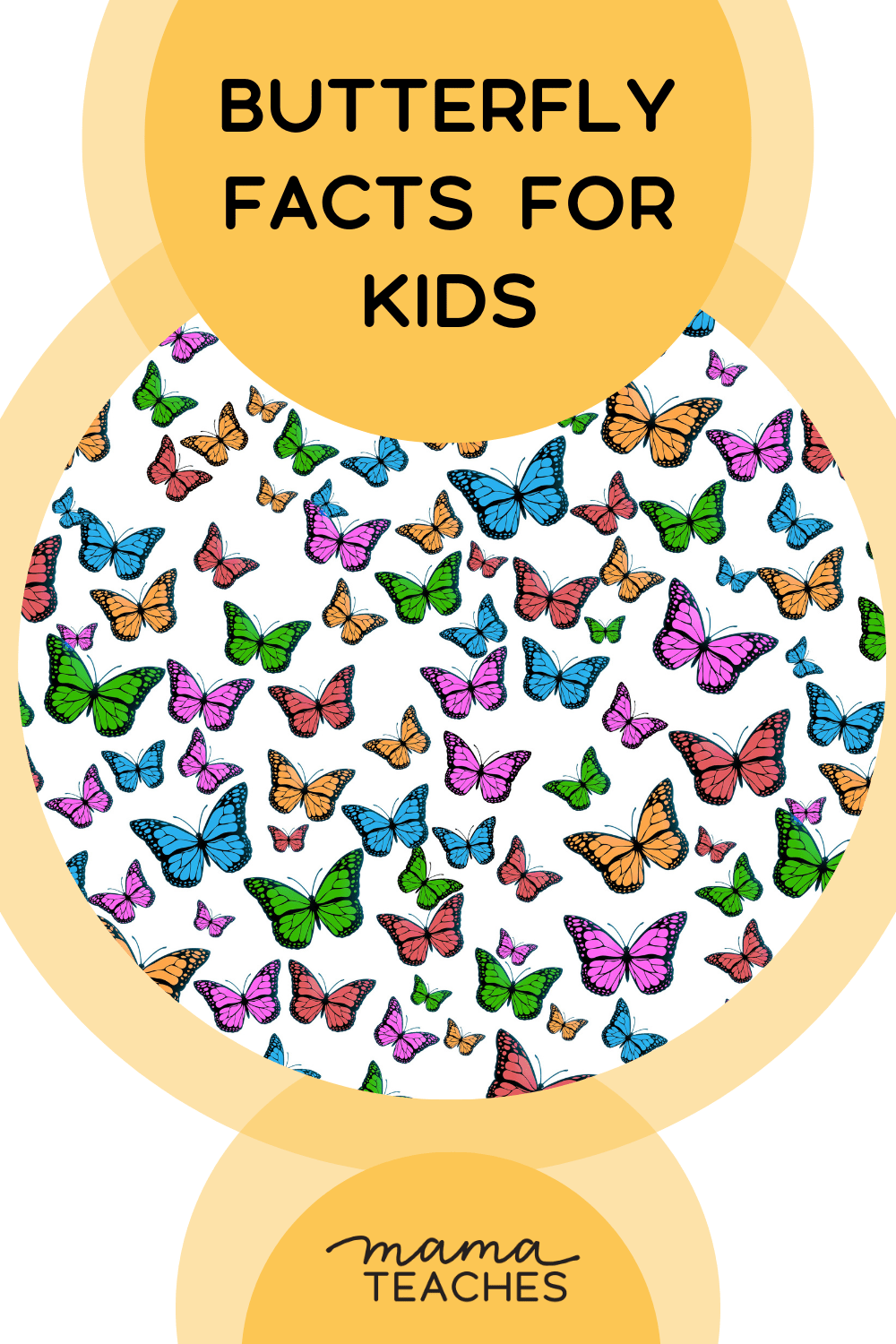 Butterfly Facts for Kids Mama Teaches