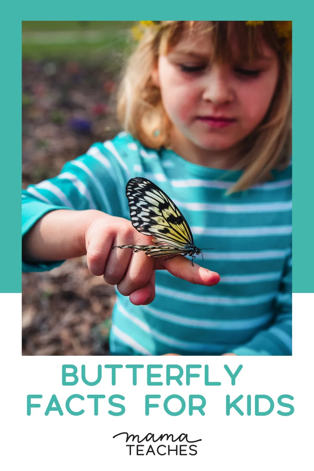 Butterfly Facts for Kids Mama Teaches