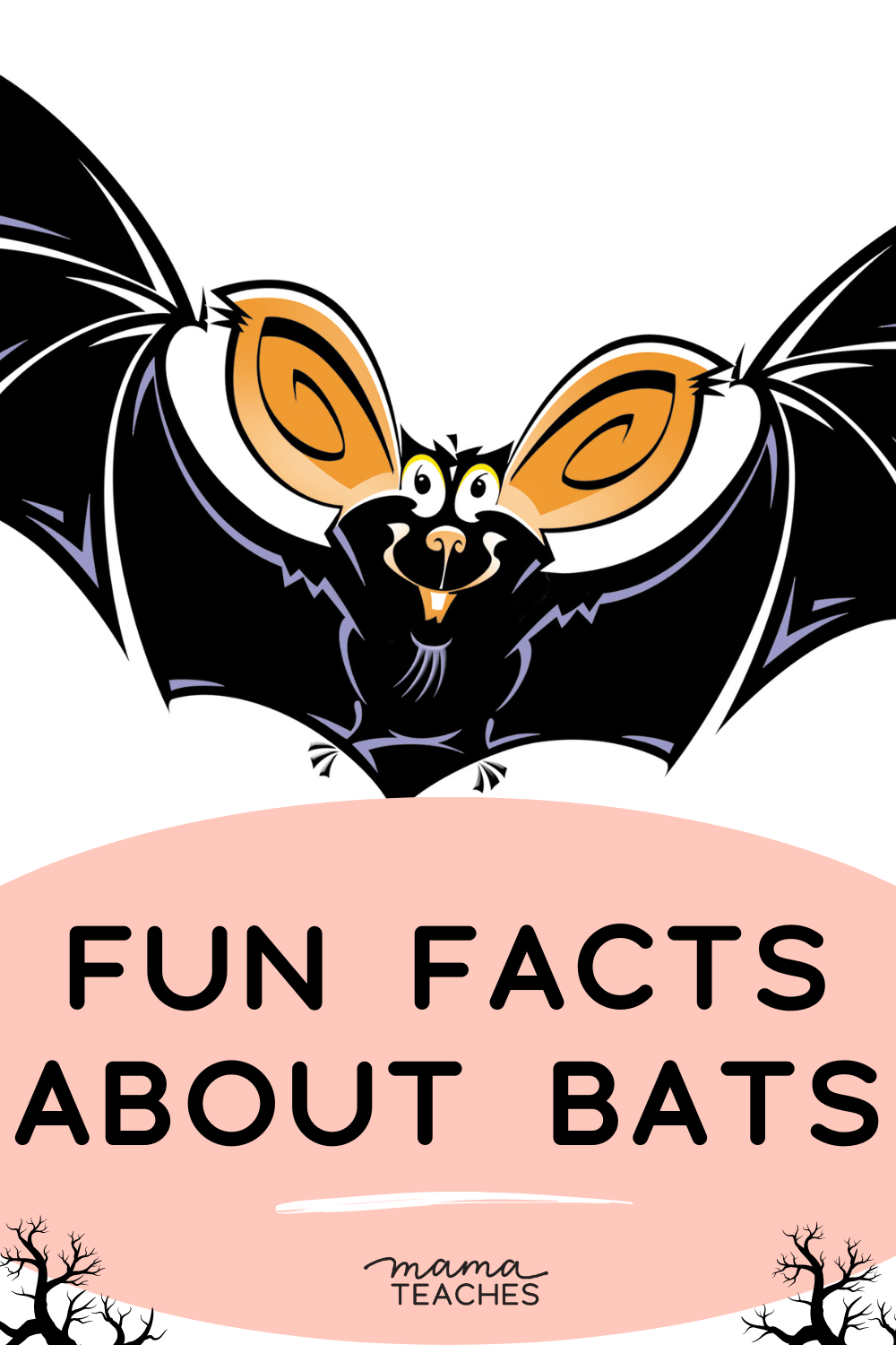 Fun Facts About Bats Mama Teaches