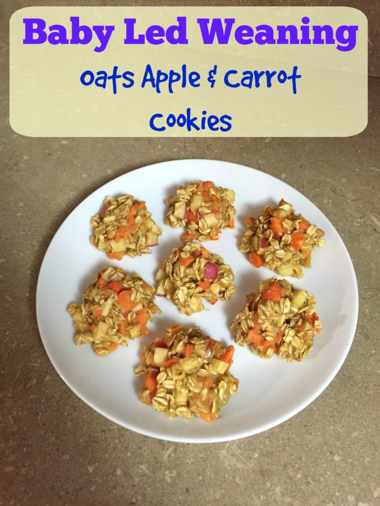 MamatheFox Modern Oats Carrot Apple Cookies MamatheFox