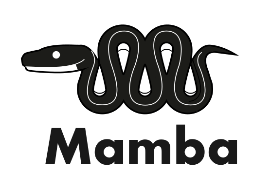 Mamba Installation — documentation