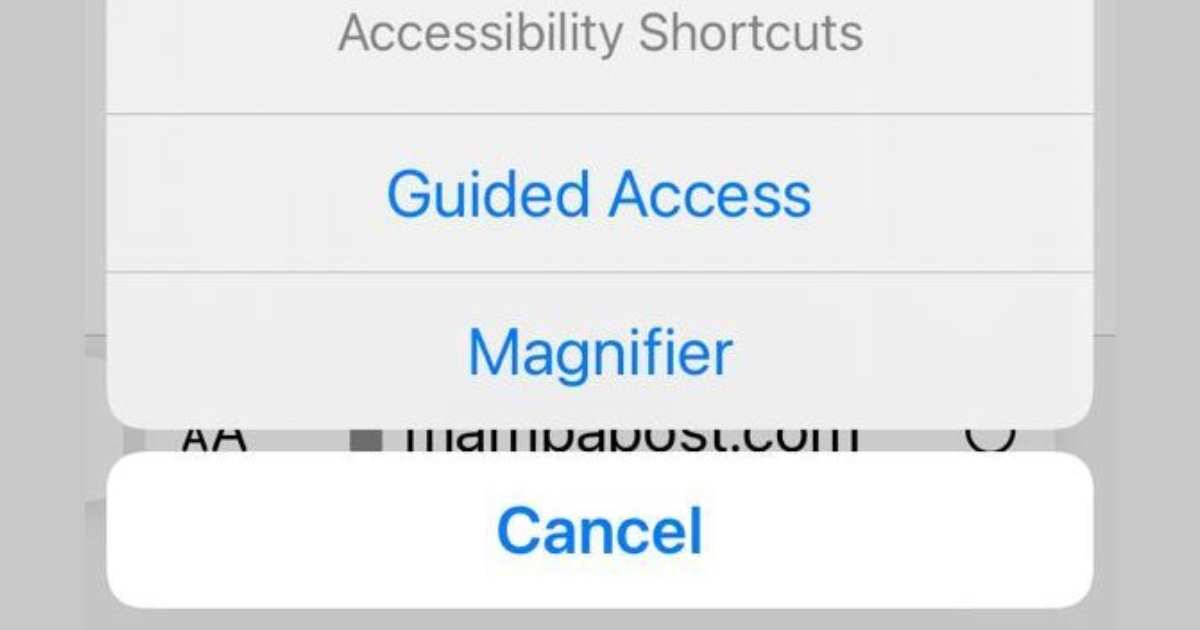 How to Fix Guided Access Not Working on an iPhone MambaPost