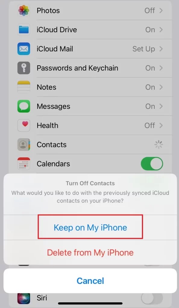 All Contacts Disappeared on iPhone. How to Fix it? MambaPost