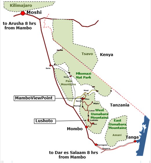 Your way to MamboViewPoint MamboViewPoint