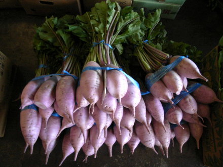 紅しぐれ大根という赤い大根の味の特徴と旬の時期とオススメの食べ方は Column Navi