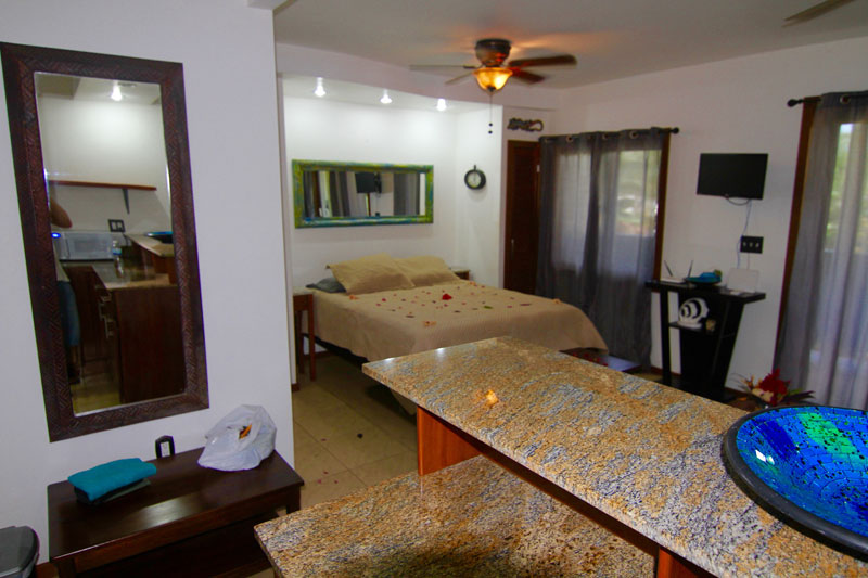 Mame Beach Studios Mame Trees