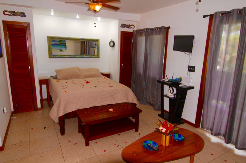 Mame Beach Studios Mame Trees