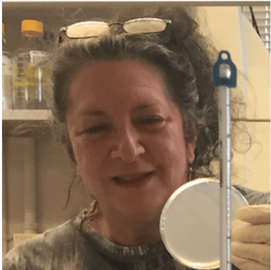 Mammae Biosciences Team Member Bio Dr. Sue Dagher