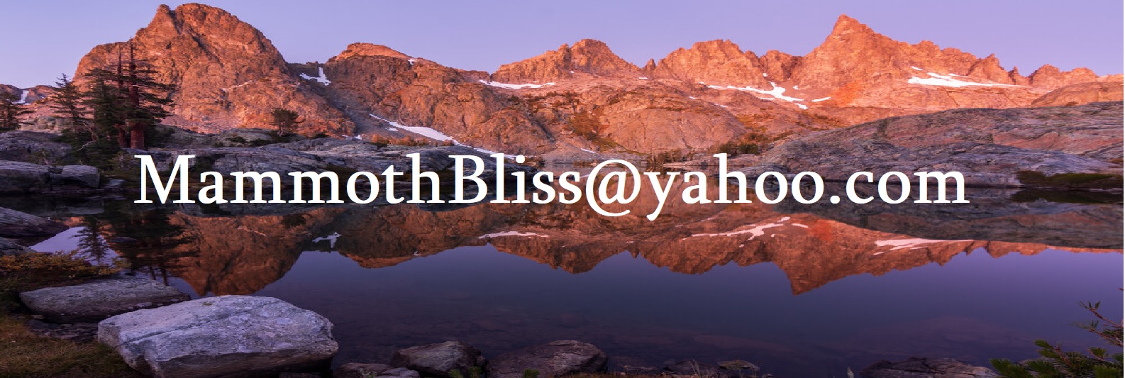 Mammoth Bliss Vacation Rentals